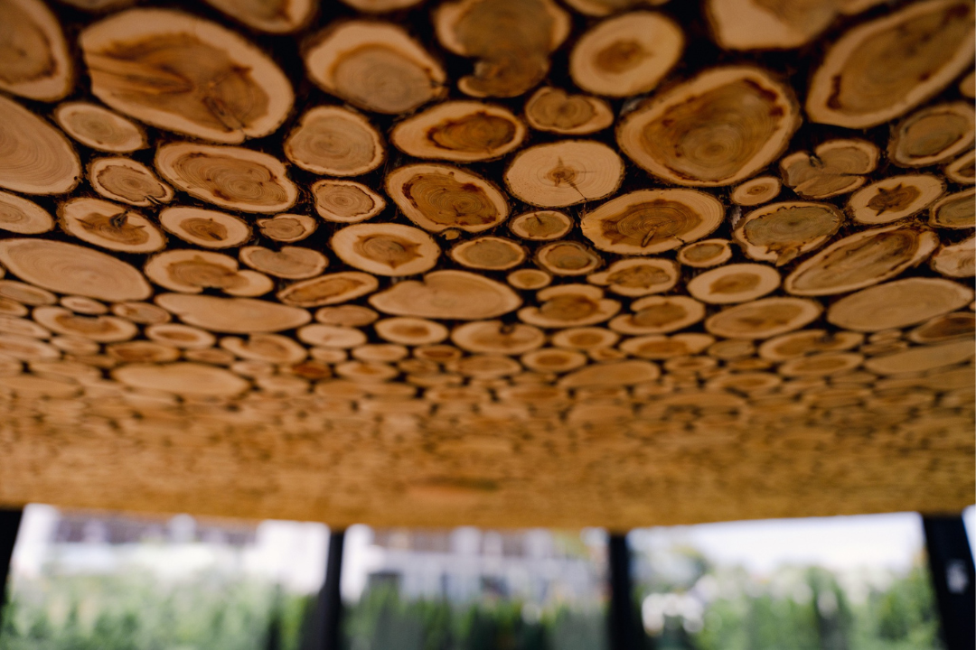 Juniper wood panel, 50x150