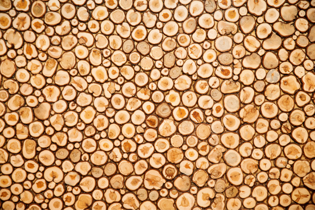 Juniper wood panel, 50x150