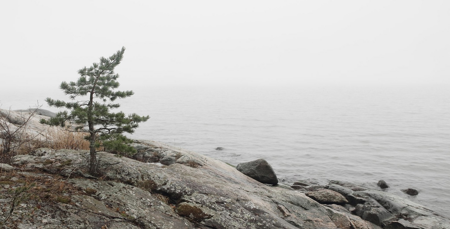 Nordic view
