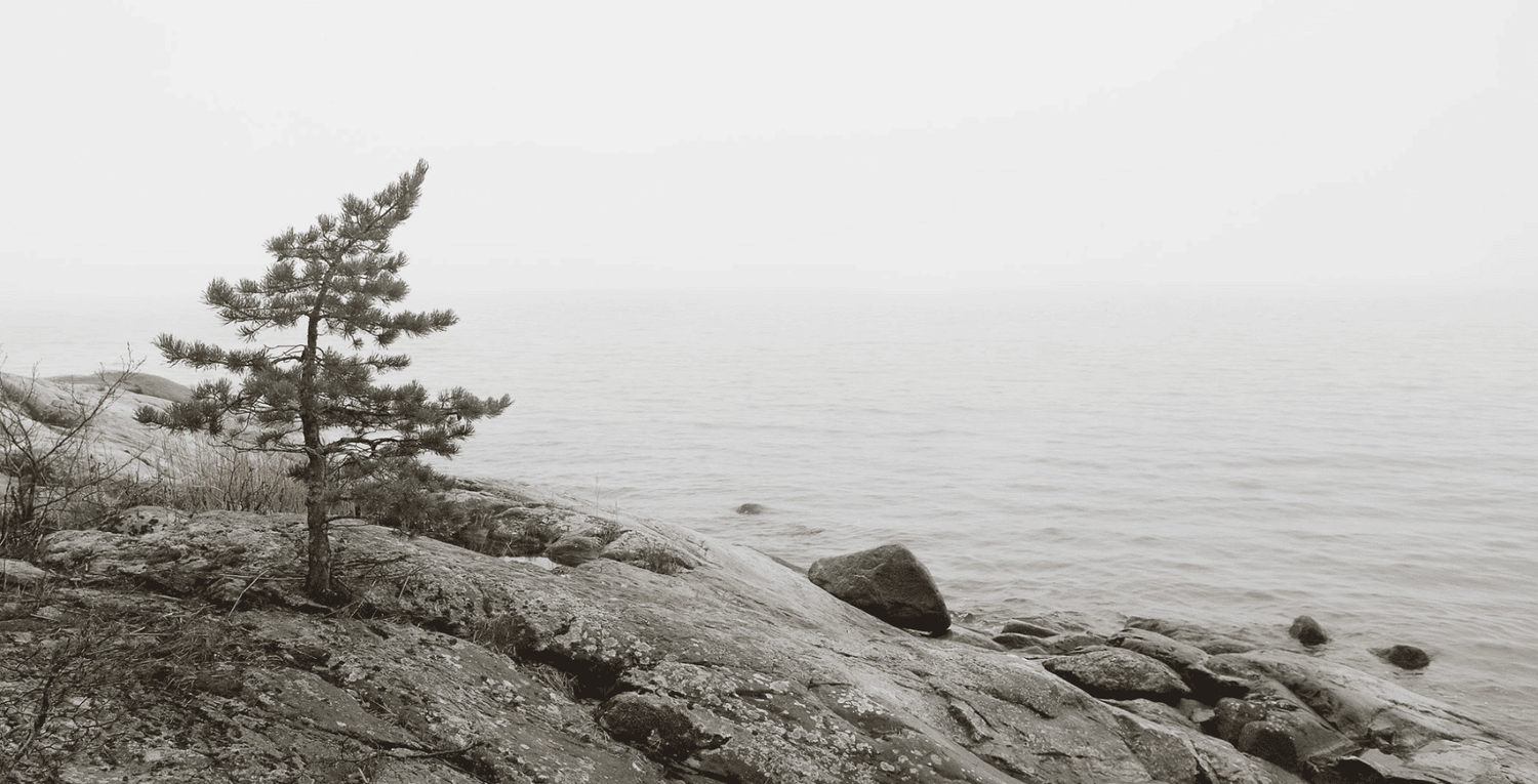 Nordic view