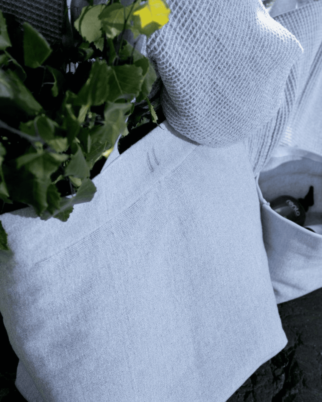 Pirts soma | gaiši pelēka