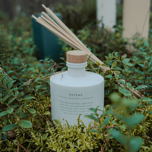 Aromātiskie kociņi AUTERE ar bērza aromātu Luhta Home